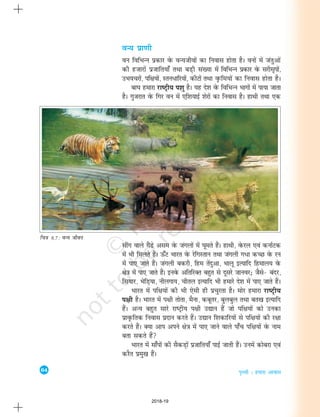 64
i`Foh % gekjk vkokl
oU; izk.kh
ou fofHkUu izdkj osQ oU;thoksa dk fuokl gksrk gSA ouksa esa tarqvksa
dh gtkjksa iztkfr;k¡ rFkk cM+h la[;k esa fofHkUu izdkj osQ ljhl`Ikksa]
mHk;pjksa] if{k;ksa] Lru/kfj;ksa] dhVksa rFkk o`Qfe;ksa dk fuokl gksrk gSA
ck?k gekjk jk"Vªh; Ik'kq gSA ;g ns'k osQ fofHkUu Hkkxksa esa ik;k tkrk
gSA xqtjkr osQ fxj ou esa ,f'k;kbZ 'ksjksa dk fuokl gSA gkFkh rFkk ,d
lhax okys xSaMs vle osQ taxyksa esa ?kwers gSaA gkFkh] osQjy ,oa dukZVd
esa Hkh feyrs gSaA Å¡V Hkkjr osQ jsfxLrku rFkk taxyh x/k dPN osQ ju
esa ik, tkrs gSaA taxyh cdjh] fge rsanqvk] Hkkyw bR;kfn fgeky; osQ
{ks=k esa ik, tkrs gSaA buosQ vfrfjDr cgqr ls nwljs tkuoj_ tSls& canj]
fl;kj] HksfM+;k] uhyxk;] phry bR;kfn Hkh gekjs ns'k esa ik, tkrs gSaA
Hkkjr esa if{k;ksa dh Hkh ,slh gh izpqjrk gSA eksj gekjk jk"Vªh;
Ik{kh gSA Hkkjr esa Ik{kh rksrk] eSuk] dcwrj] cqycqy rFkk cr[k bR;kfn
gSaA vU; cgqr lkjs jk"Vªh; Ik{kh m|ku gSa tks if{k;ksa dks mudk
izko`Qfrd fuokl iznku djrs gSaA m|ku f'kdkfj;ksa ls if{k;ksa dh j{kk
djrs gSaA D;k vki vius {ks=k esa ik, tkus okys ik¡p if{k;ksa osQ uke
crk ldrs gSa
Hkkjr esa lk¡iksa dh lSdM+ksa iztkfr;k¡ ikbZ tkrh gSaA muesa dkscjk ,oa
djSr izeq[k gSaA
fp=k 8.7 : oU; thou
2018-19
 