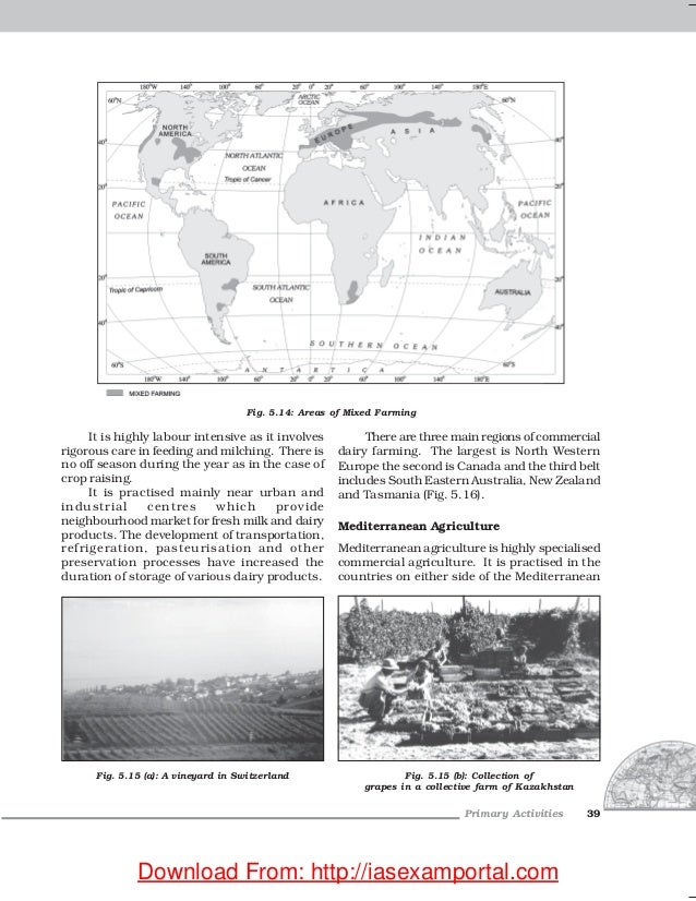Geography Fundamentals" Class 12" NCERT