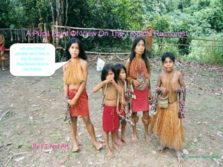 A Pupil Point Of View On The Tropical Rainforest. By FT And AH. http://ronwalker.org/amazon_iquitos_peru/indian_family_peru_feb_2002_2.jpg   we are tribes people who live in the Amazon Rainforest this is our home. 