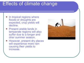 Effects of climate change  In tropical regions where floods or droughts are expected, crop yields will decline. Present arable lands in temperate regions will also suffer due to a longer and drier summer season. However, present dry places will experience more rain causing their yields to increase. 