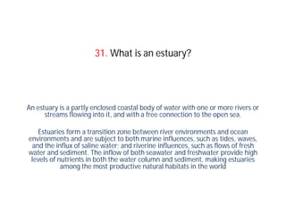 31. What is an estuary?




An estuary is a partly enclosed coastal body of water with one or more rivers or
      streams flowing into it, and with a free connection to the open sea.

   Estuaries form a transition zone between river environments and ocean
environments and are subject to both marine influences, such as tides, waves,
 and the influx of saline water; and riverine influences, such as flows of fresh
water and sediment. The inflow of both seawater and freshwater provide high
 levels of nutrients in both the water column and sediment, making estuaries
            among the most productive natural habitats in the world
 