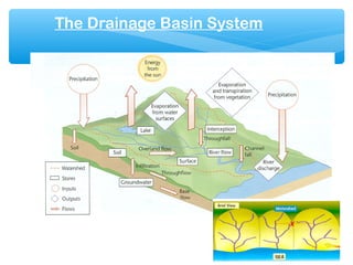 The Drainage Basin System
 