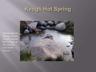 Keogh Hot SpringThe Keogh hot springs are the largest natural hot springs on the eastern side of the sierras.