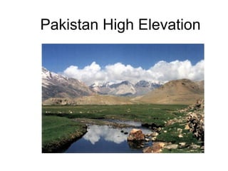 Pakistan High Elevation  