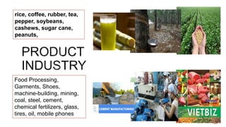 rice, coffee, rubber, tea,
pepper, soybeans,
cashews, sugar cane,
peanuts,
Food Processing,
Garments, Shoes,
machine-building, mining,
coal, steel, cement,
chemical fertilizers, glass,
tires, oil, mobile phones
 