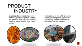  sweet potatoes, vegetables, corn,
coffee, sugarcane, tobacco, cotton,
tea, peanuts, rice; cassava (manioc,
tapioca), water buffalo, pigs, cattle,
poultry
 mining (copper, tin, gold, gypsum);
timber, electric power, agricultural
processing, rubber, construction,
garments, cement, tourism
 