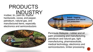 rubber, tin, palm oil, tropical
hardwoods, cocoa, and pepper.
petroleum, natural gas, and
manufactured items, especially
electronics and semiconductors
Peninsula Malaysia - rubber and oil
palm processing and manufacturing,
petroleum and natural gas, light
manufacturing, pharmaceuticals,
medical technology, electronics and
semiconductors, timber processing;
Sabah - logging,
petroleum and natural
gas production
 
