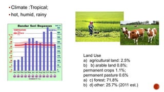 Climate :Tropical;
hot, humid, rainy
Land Use
a) agricultural land: 2.5%
b) b) arable land 0.8%;
permanent crops 1.1%;
permanent pasture 0.6%
a) c) forest: 71.8%
b) d) other: 25.7% (2011 est.)
 