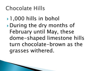  1,000 hills in bohol
 During the dry months of
February until May, these
dome-shaped limestone hills
turn chocolate-brown as the
grasses withered.
 