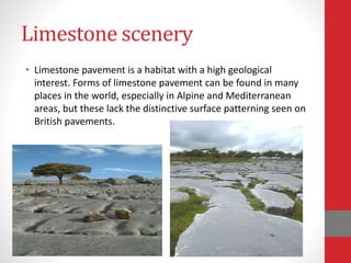 Limestone scenery
• Limestone pavement is a habitat with a high geological
interest. Forms of limestone pavement can be found in many
places in the world, especially in Alpine and Mediterranean
areas, but these lack the distinctive surface patterning seen on
British pavements.
 