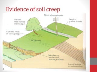 Evidence of soil creep
 