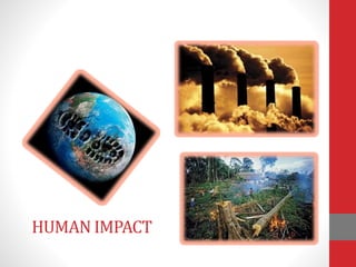 HUMAN IMPACT
 