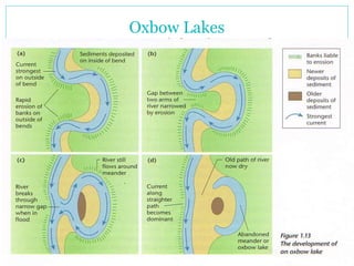 Oxbow Lakes
 