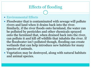 Effects of flooding
 Environmental Effects
 Floodwater that is contaminated with sewage will pollute
rivers and land when it drains back into the river.
Similarly, if the river floods onto farmland, the water can
be polluted by pesticides and other chemicals sprayed
onto the farmland that, when drained back into the river,
can pollute it and kill off wildlife that inhabits the river. If
the floodwater isn’t polluted though, flooding can create
wetlands that can help introduce new habitats for many
species of animals.
 Vegetation may be destroyed, along with natural habitats
and animal species.
 