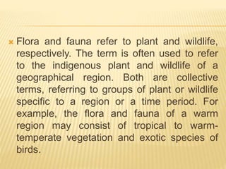 Geography | PPTX