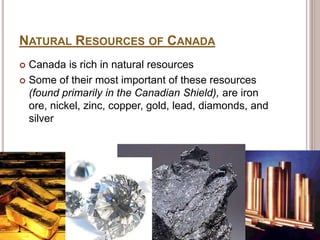 NATURAL RESOURCES OF CANADA
 Canada is rich in natural resources
 Some of their most important of these resources
(found primarily in the Canadian Shield), are iron
ore, nickel, zinc, copper, gold, lead, diamonds, and
silver
 
