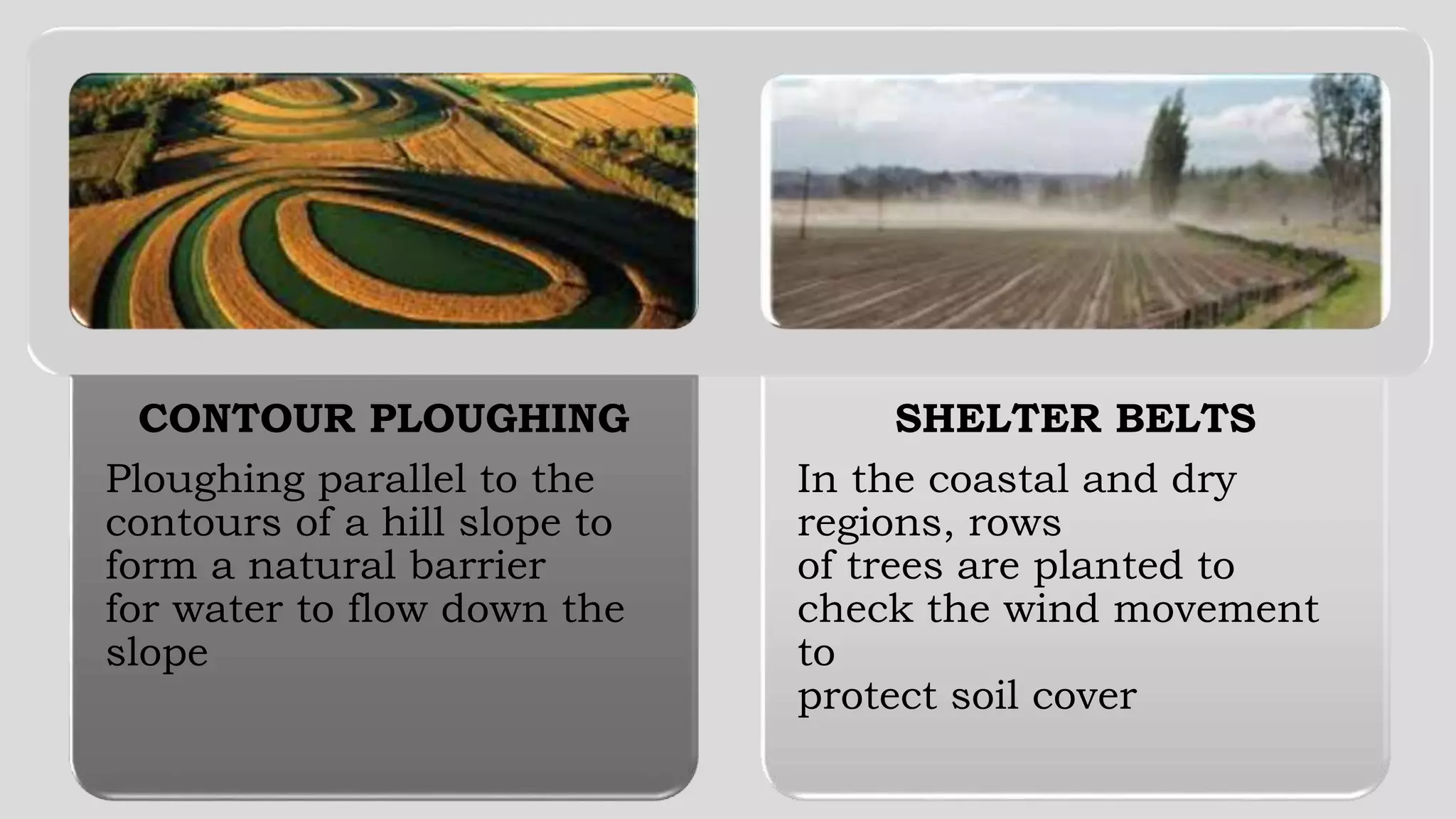 CONTOUR PLOUGHING
Ploughing parallel to the
contours of a hill slope to
form a natural barrier
for water to flow down the
slope
SHELTER BELTS
In the coastal and dry
regions, rows
of trees are planted to
check the wind movement
to
protect soil cover
 