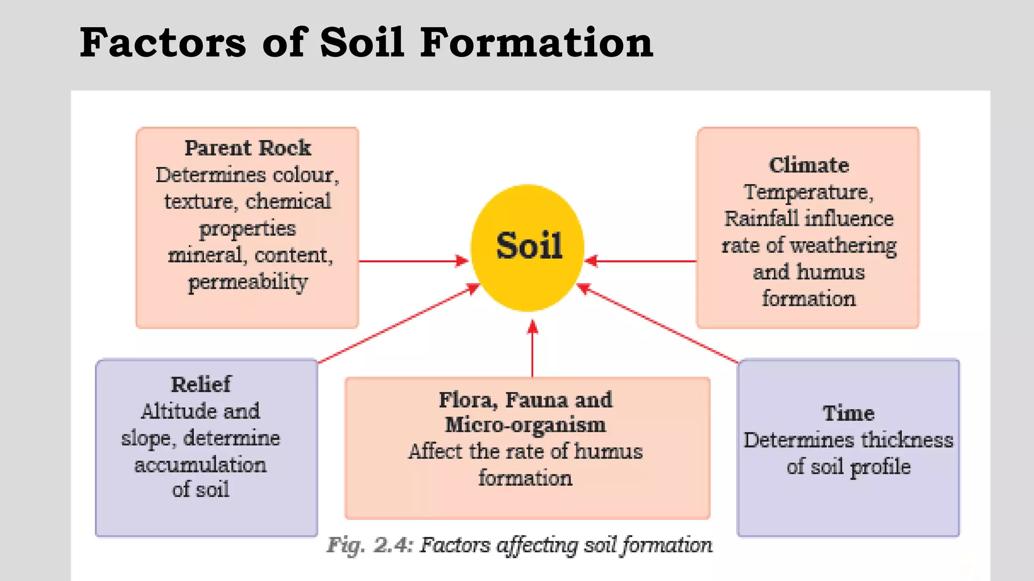 Factors of Soil Formation
 