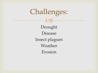 
Drought
Disease
Insect plagues
Weather
Erosion
Challenges:
 