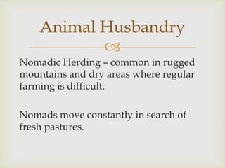 
Nomadic Herding – common in rugged
mountains and dry areas where regular
farming is difficult.
Nomads move constantly in search of
fresh pastures.
Animal Husbandry
 