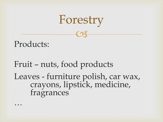 
Products:
Fruit – nuts, food products
Leaves - furniture polish, car wax,
crayons, lipstick, medicine,
fragrances
…
Forestry
 