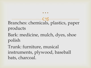 
Branches: chemicals, plastics, paper
products
Bark: medicine, mulch, dyes, shoe
polish
Trunk: furniture, musical
instruments, plywood, baseball
bats, charcoal.
…
 