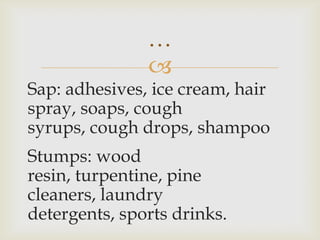 
Sap: adhesives, ice cream, hair
spray, soaps, cough
syrups, cough drops, shampoo
Stumps: wood
resin, turpentine, pine
cleaners, laundry
detergents, sports drinks.
…
 