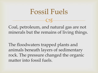 
Coal, petroleum, and natural gas are not
minerals but the remains of living things.
The floodwaters trapped plants and
animals beneath layers of sedimentary
rock. The pressure changed the organic
matter into fossil fuels.
Fossil Fuels
 