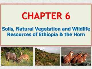 CHAPTER 6
Soils, Natural Vegetation and Wildlife
Resources of Ethiopia & the Horn
 
