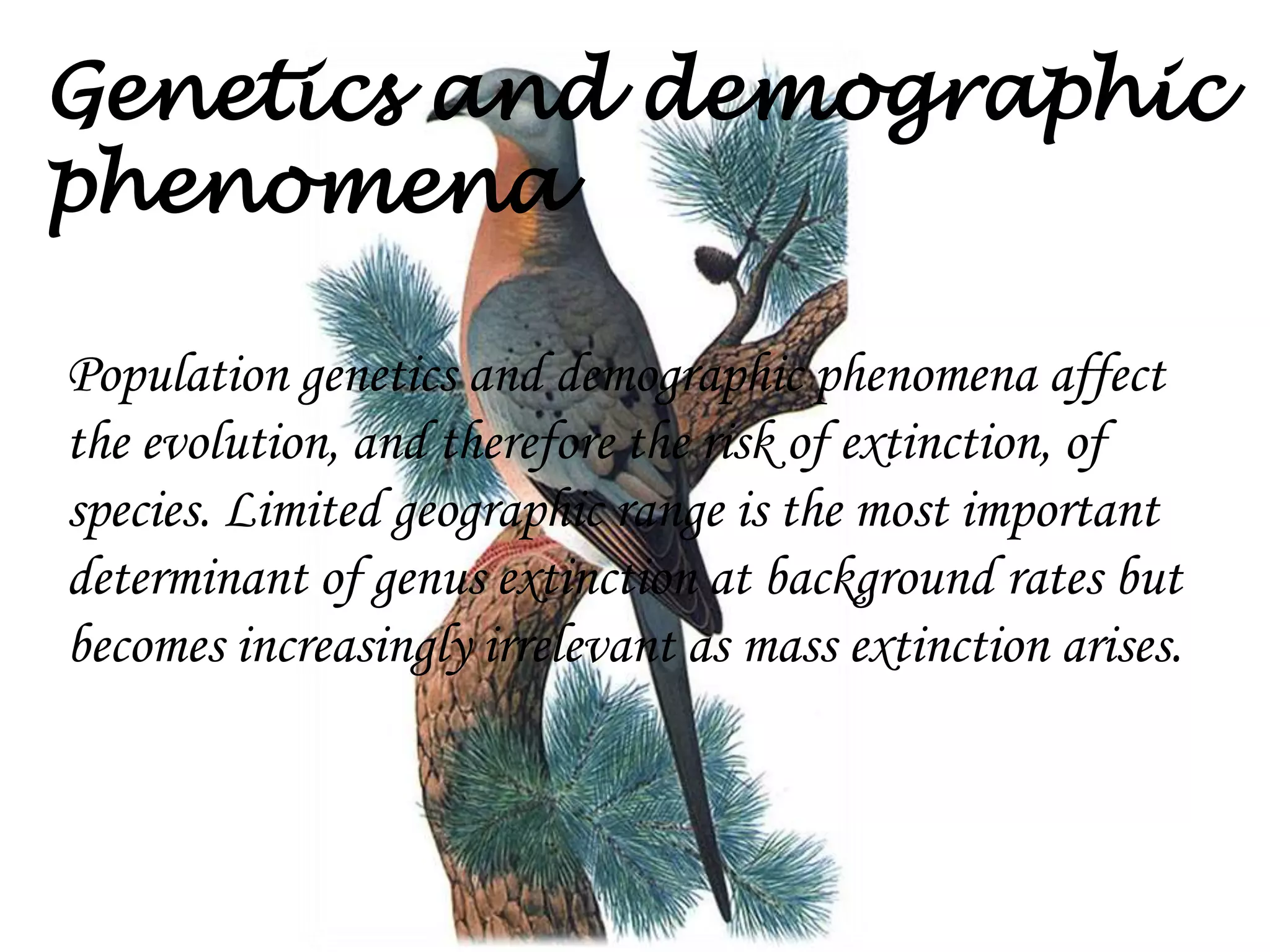 Genetics and demographic
phenomena
Population genetics and demographic phenomena affect
the evolution, and therefore the risk of extinction, of
species. Limited geographic range is the most important
determinant of genus extinction at background rates but
becomes increasingly irrelevant as mass extinction arises.

 