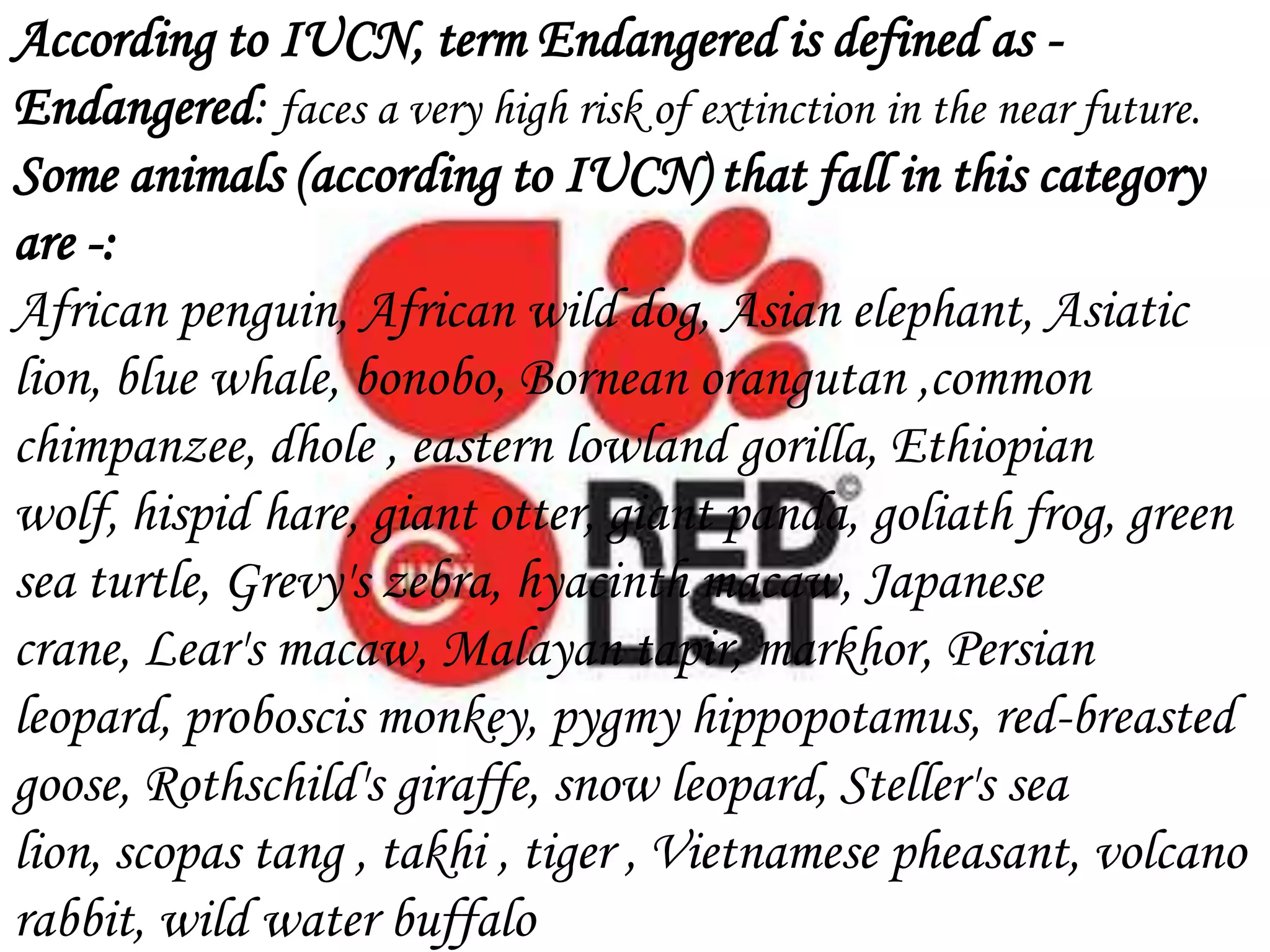 According to IUCN, term Endangered is defined as Endangered: faces a very high risk of extinction in the near future.
Some animals (according to IUCN) that fall in this category
are -:
African penguin, African wild dog, Asian elephant, Asiatic
lion, blue whale, bonobo, Bornean orangutan ,common
chimpanzee, dhole , eastern lowland gorilla, Ethiopian
wolf, hispid hare, giant otter, giant panda, goliath frog, green
sea turtle, Grevy's zebra, hyacinth macaw, Japanese
crane, Lear's macaw, Malayan tapir, markhor, Persian
leopard, proboscis monkey, pygmy hippopotamus, red-breasted
goose, Rothschild's giraffe, snow leopard, Steller's sea
lion, scopas tang , takhi , tiger , Vietnamese pheasant, volcano
rabbit, wild water buffalo

 