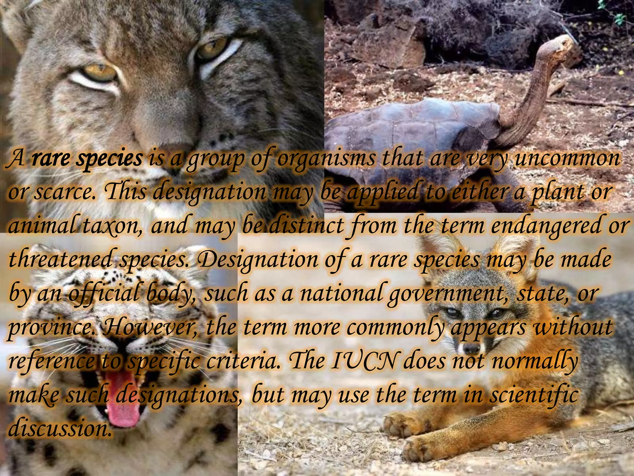 A rare species is a group of organisms that are very uncommon
or scarce. This designation may be applied to either a plant or
animal taxon, and may be distinct from the term endangered or
threatened species. Designation of a rare species may be made
by an official body, such as a national government, state, or
province. However, the term more commonly appears without
reference to specific criteria. The IUCN does not normally
make such designations, but may use the term in scientific
discussion.

 