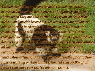 Through evolution, new species arise through the process
of speciation—where new varieties of organisms arise and
thrive when they are able to find and exploit an ecological
niche—and species become extinct when they are no longer
able to survive in changing conditions or against superior
competition. The relationship between animals and their
ecological niches has been firmly established. A typical species
becomes extinct within 10 million years of its first appearance,
although some species, called living fossils, survive with
virtually no morphological change for hundreds of millions of
years. Most extinctions have occurred naturally, prior to Homo
sapiens walking on Earth: it is estimated that 99.9% of all
species that have ever existed are now extinct.

 
