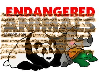 An endangered species is a species of organisms facing a very
high risk of extinction. The phrase is used vaguely in common
parlance for any species fitting this description, but its use
by conservation biologists typically refers to those designated
Endangered in the IUCN Red List, where it is the second
most severe conservation status for wild populations,
following Critically Endangered. species: for example,
forbidding hunting, restricting land development or creating
preserves.

 