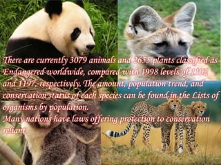 There are currently 3079 animals and 2655 plants classified as
Endangered worldwide, compared with 1998 levels of 1102
and 1197, respectively. The amount, population trend, and
conservation status of each species can be found in the Lists of
organisms by population.
Many nations have laws offering protection to conservation
reliant

 