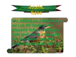 ü¡i¡¢hL
E¢ác
ö×L NË£×jL¡m J BâÑ n£aL¡-
ml L¡le HC Smh¡u¤ A’m
¢Qlph¤S N¡R J …mÈS¡a£u
N¡Rl ¢jnË hei¨¢j pª¢ø quRz
HC A’m fËd¡ea ¢ae dlel
ü¡i¡¢hL E¢ácl pj¡hn cM¡ k¡u
-
 