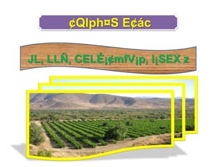 ¢Qlph¤S E¢ác
JL, LLÑ, CELÉ¡¢mfV¡p, l¡SEX z
 