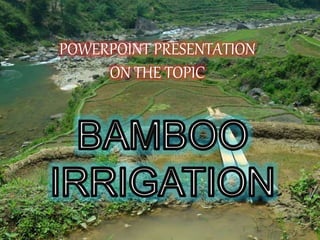 POWERPOINT PRESENTATION
ON THE TOPIC
 