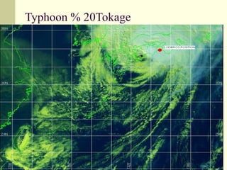Typhoon % 20Tokage 