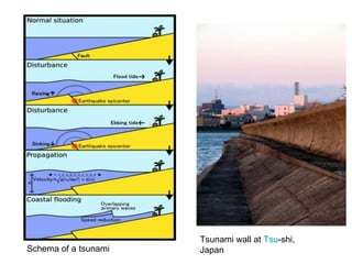Schema of a tsunami  Tsunami wall at  Tsu -shi, Japan  