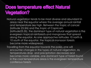 Does temperature effect Natural Vegetation?   Natural vegetation tends to be most diverse and abundant in areas near the equator where the average annual rainfall and temperature are high. Between the tropic of cancer (latitude 23.5N) and the tropic of Capricorn (latitude23.5S), the dominant type of natural vegetation is the evergreen tropical rainforests and mangroves that spread along the equator. As one approaches latitudes 10 north & 10 south of the equator, the tropical monsoon forests become more widespread.Travelling from the equator towards the poles, one will encounter changes in the types of natural vegetation. As temperatures drop  and precipitation decreases and becomes more variable, one dominant type of forest found in the cool temperature areas is the evergreen temperature coniferous forests 