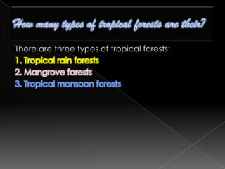How many types of tropical forests are their?There are three types of tropical forests:1. Tropical rain forests2. Mangrove forests3. Tropical monsoon forests