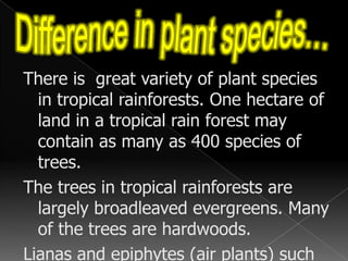      The Congo Basin of America                                                                                                                        