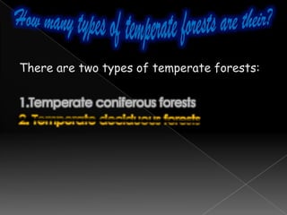 Structure …Unlike tropical rainforest, mangrove rainforests are classified into 3 parts horizontally.Frequent flooding of salt water.