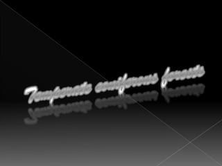 Mud is deep and rich in organic matter