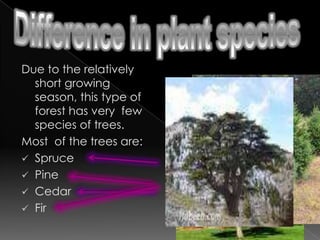 Where are they found?The Tropical Monsoon forests are mostly found in areas from latitude 15 to just beyond the tropic of cancer and the tropic of Capricorn.They are mostly found in: Thailand