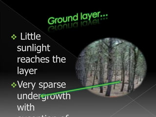  The south part of china.Difference in plant species…Due to dry season, tropical monsoon forests have fewer of plants compared to those in tropical rain forests. The plants are also spaced farther apart from each other. Most of the trees in tropical monsoon forest are hardwoods. Teakand rosewood are two well known tropical hardwoods.
