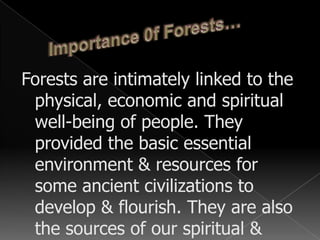 Ground layerMosses, lichens     and orchids are common.Dense undergrowth.Under Canopy layerTrees are shorter 