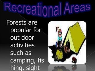 Where are they found?Temperate Coniferous forests are found mainly between latitudes 40 & 65 in the northern hemisphere.