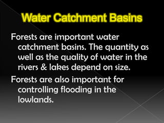 Difference in plant speciesDue to the relatively short growing season, this type of forest has very  few species of trees. Most  of the trees are:Spruce